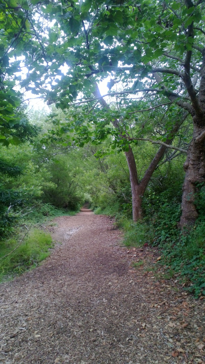 Art for Art’s&nbsp;Sake?