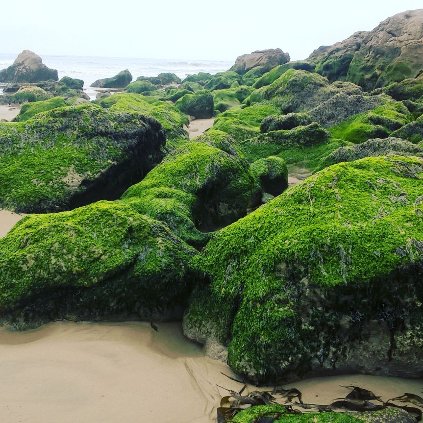 The Here and&nbsp;Now