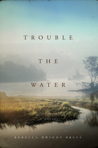 Trouble the Water by Rebecca Dwight&nbsp;Bruff.