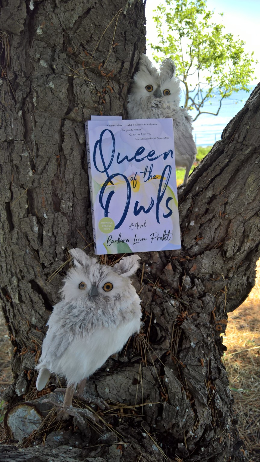Queen of the Owls