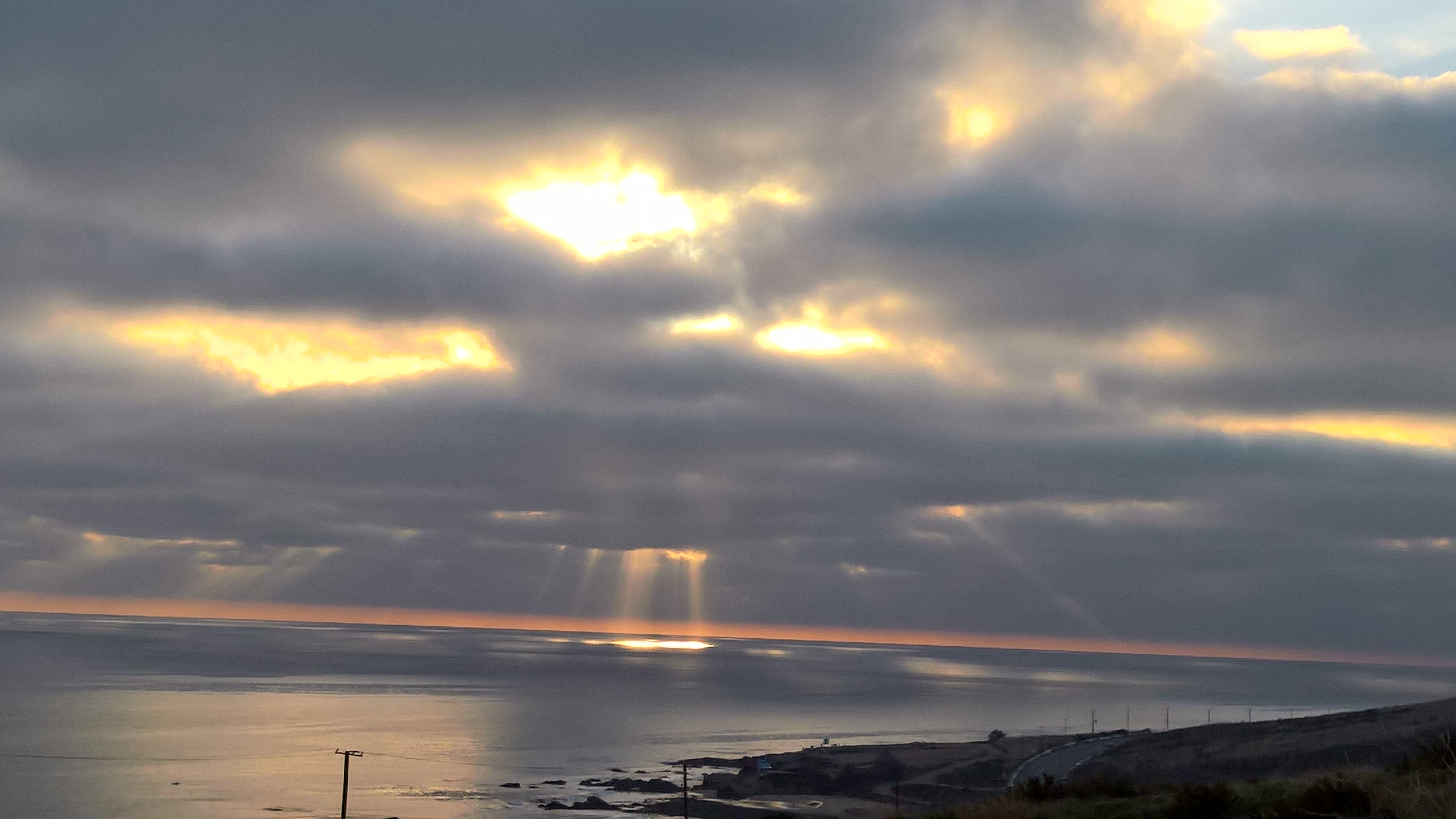 WP_20200208_16_50_07_Pro