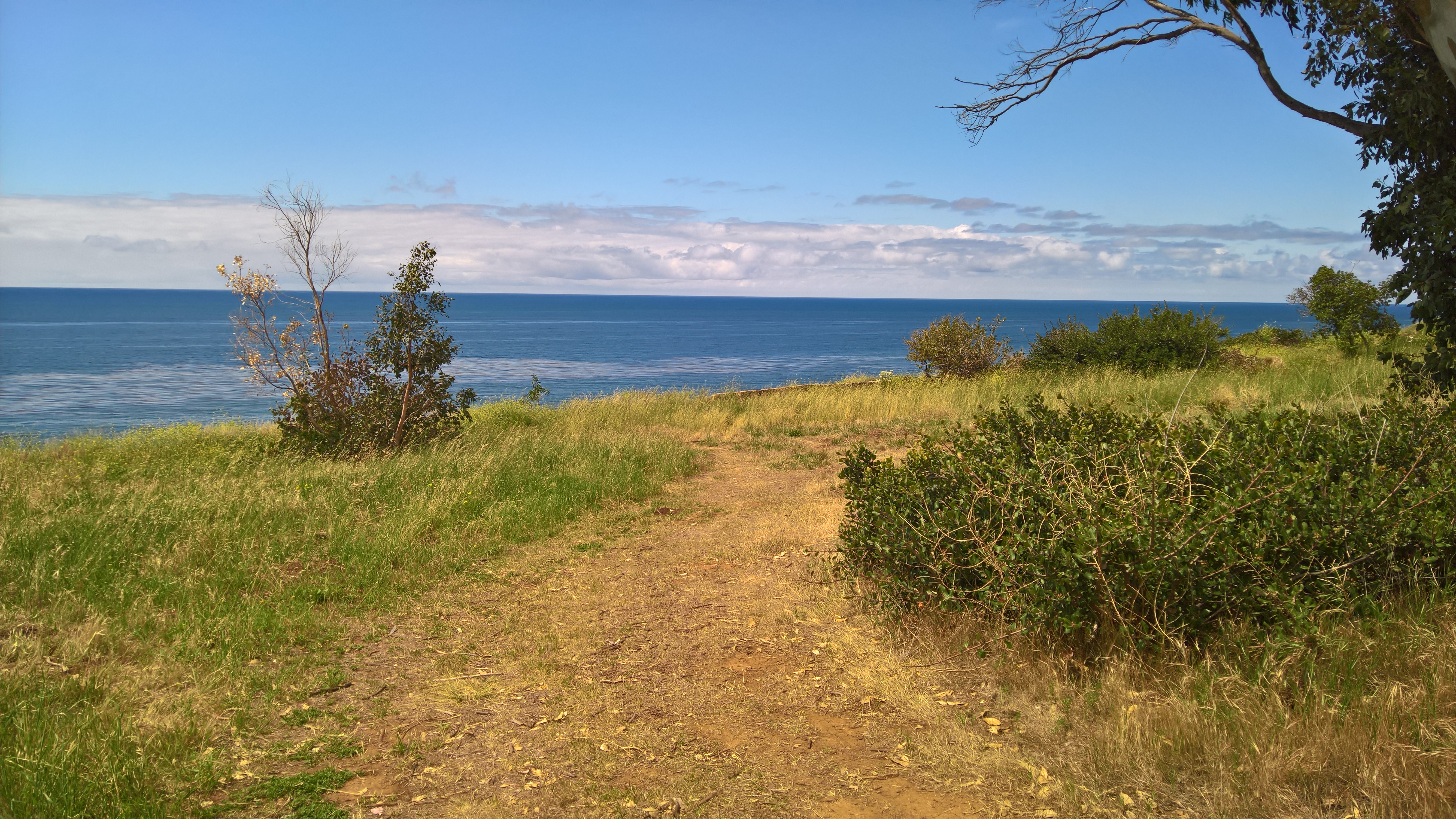 WP_20200417_11_28_33_Pro