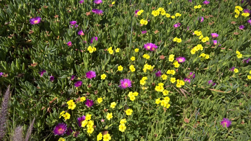 WP_20200419_10_46_20_Pro