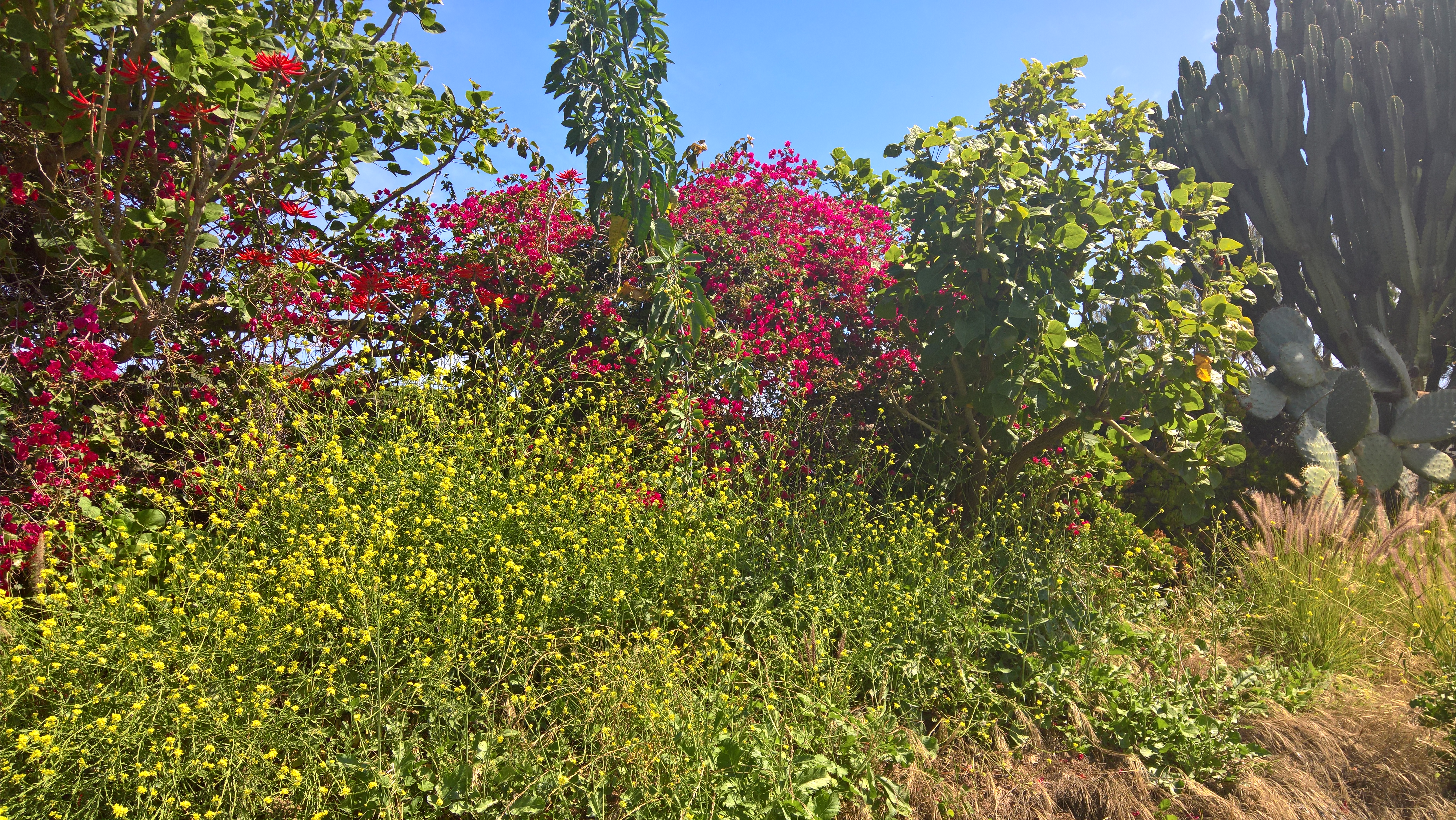 WP_20200419_10_57_06_Pro