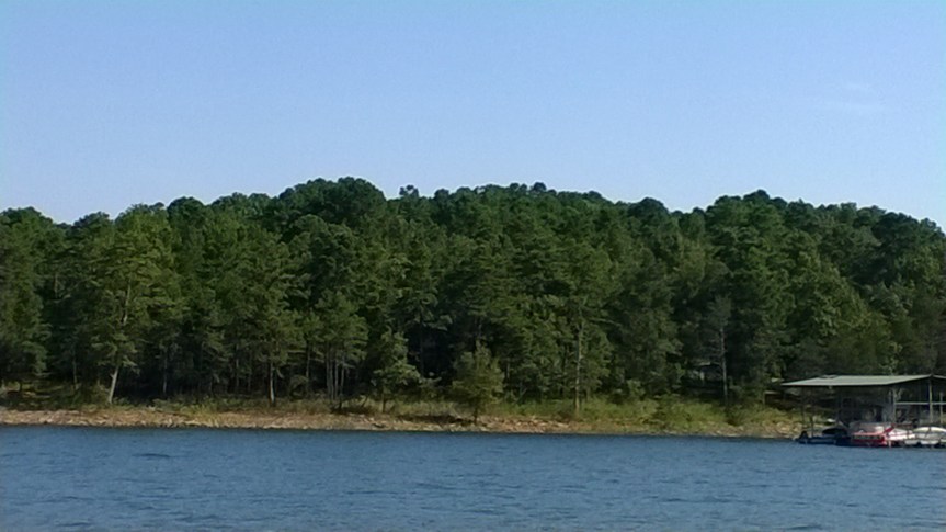 WP_20150718_09_44_21_Pro