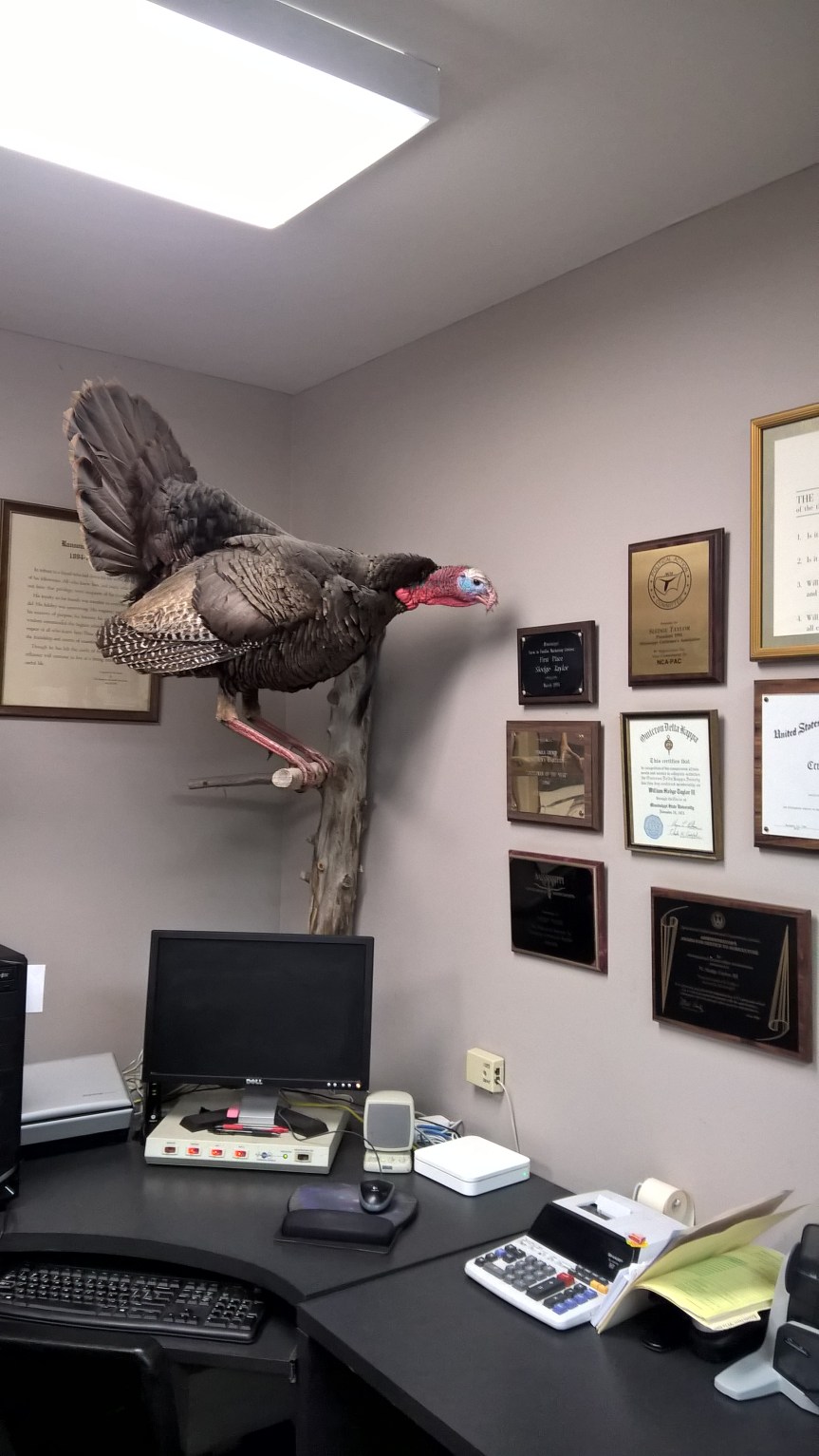 WP_20170501_11_29_49_Pro