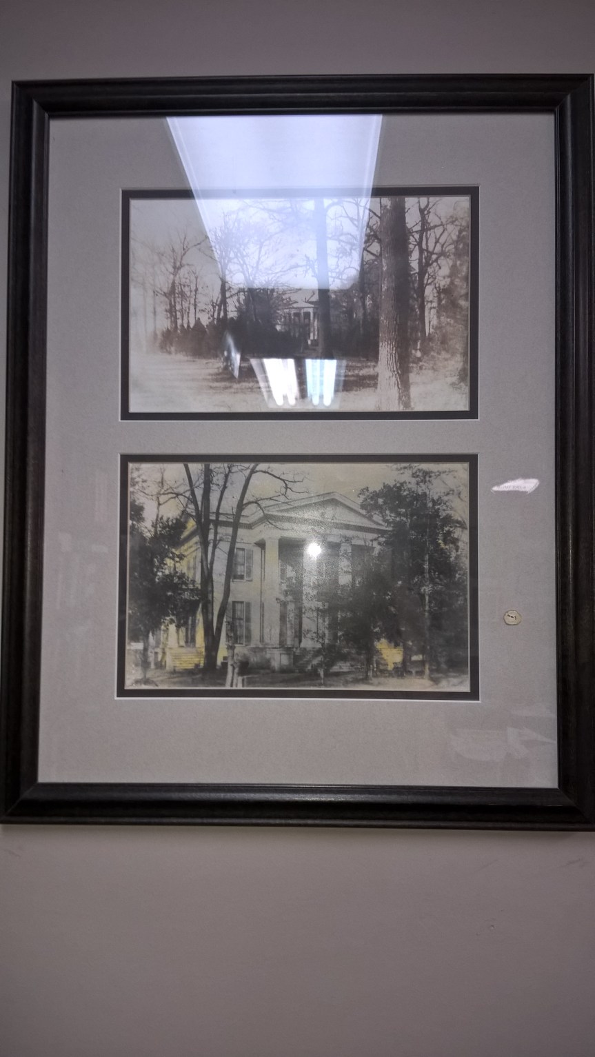 WP_20170501_11_37_50_Pro