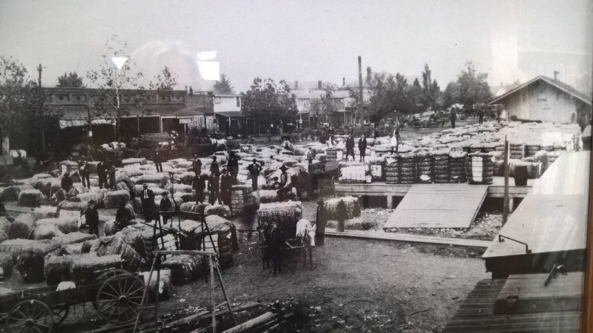 WP_20170501_12_54_12_Pro