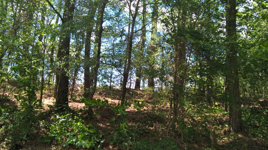 WP_20170501_13_31_03_Pro