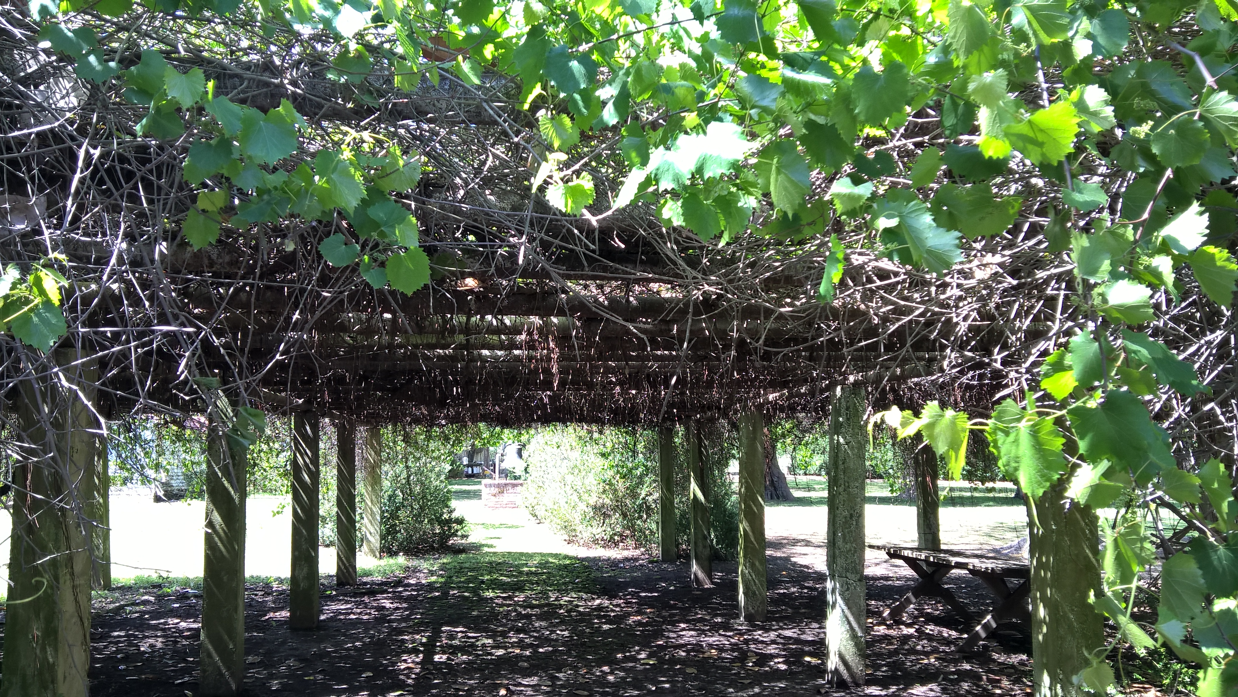 WP_20170501_14_50_57_Pro