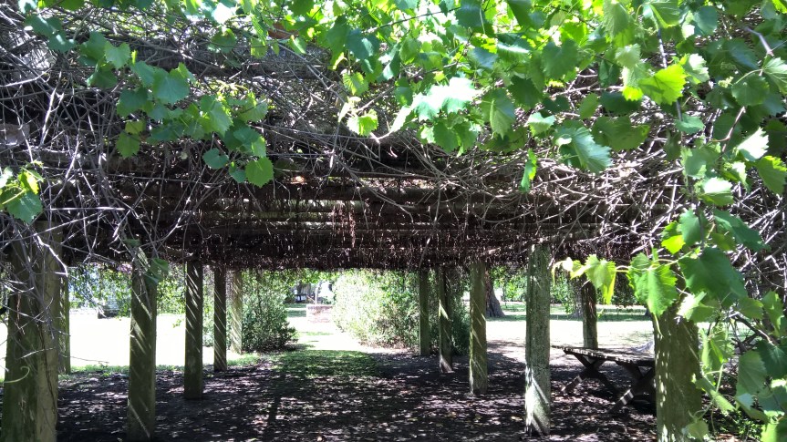 WP_20170501_14_50_57_Pro