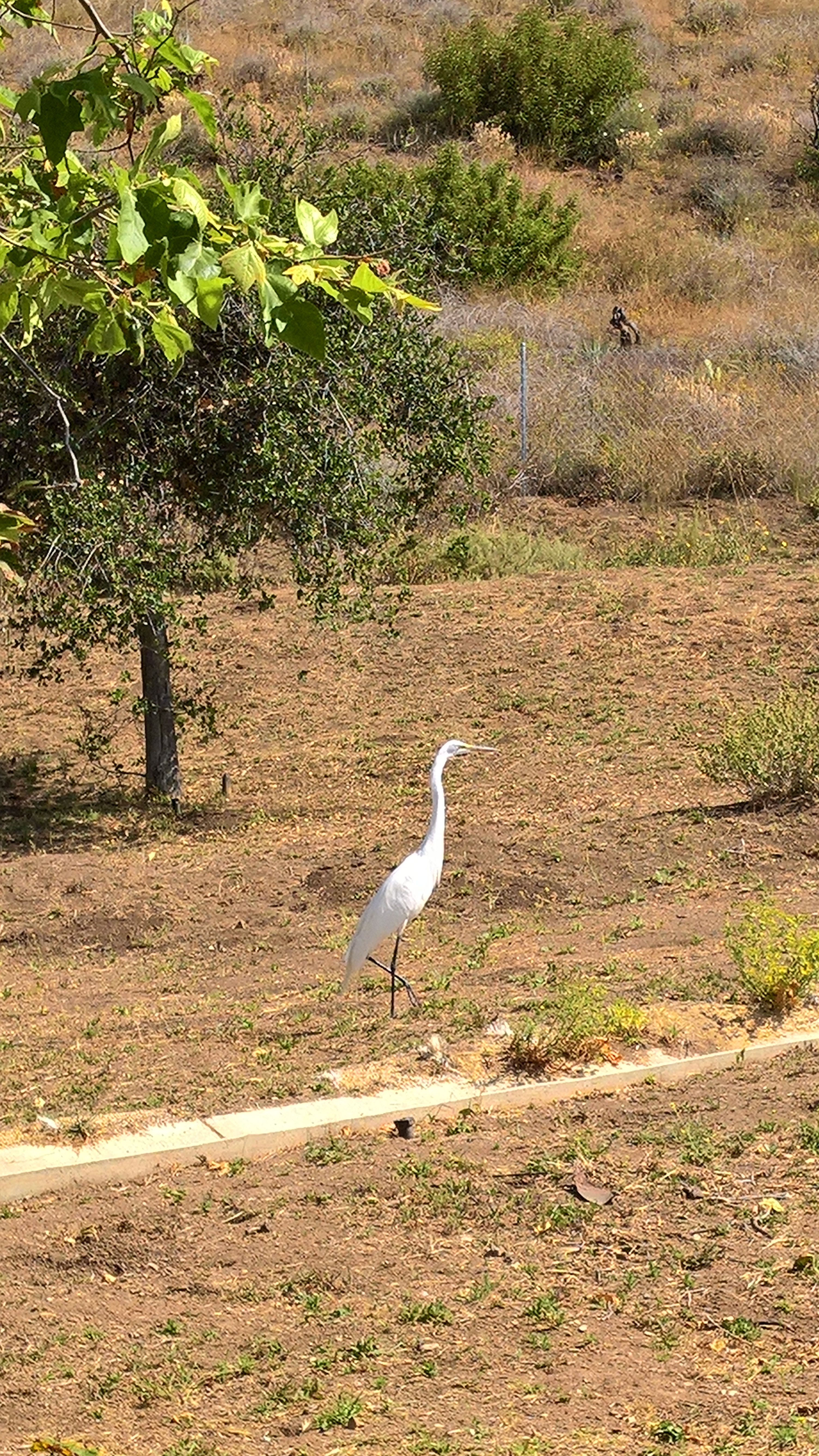 WP_20200524_10_12_55_Pro