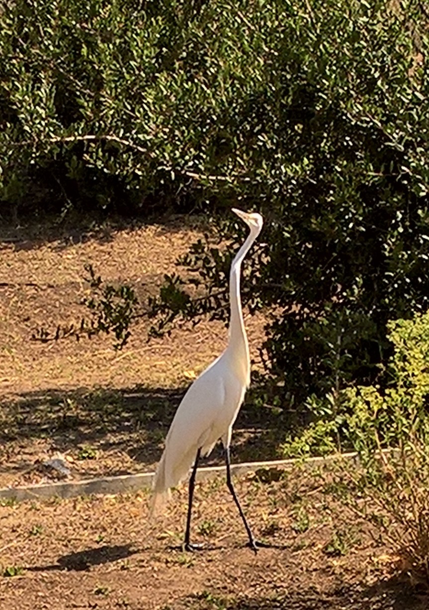 WP_20200524_10_14_30_Pro