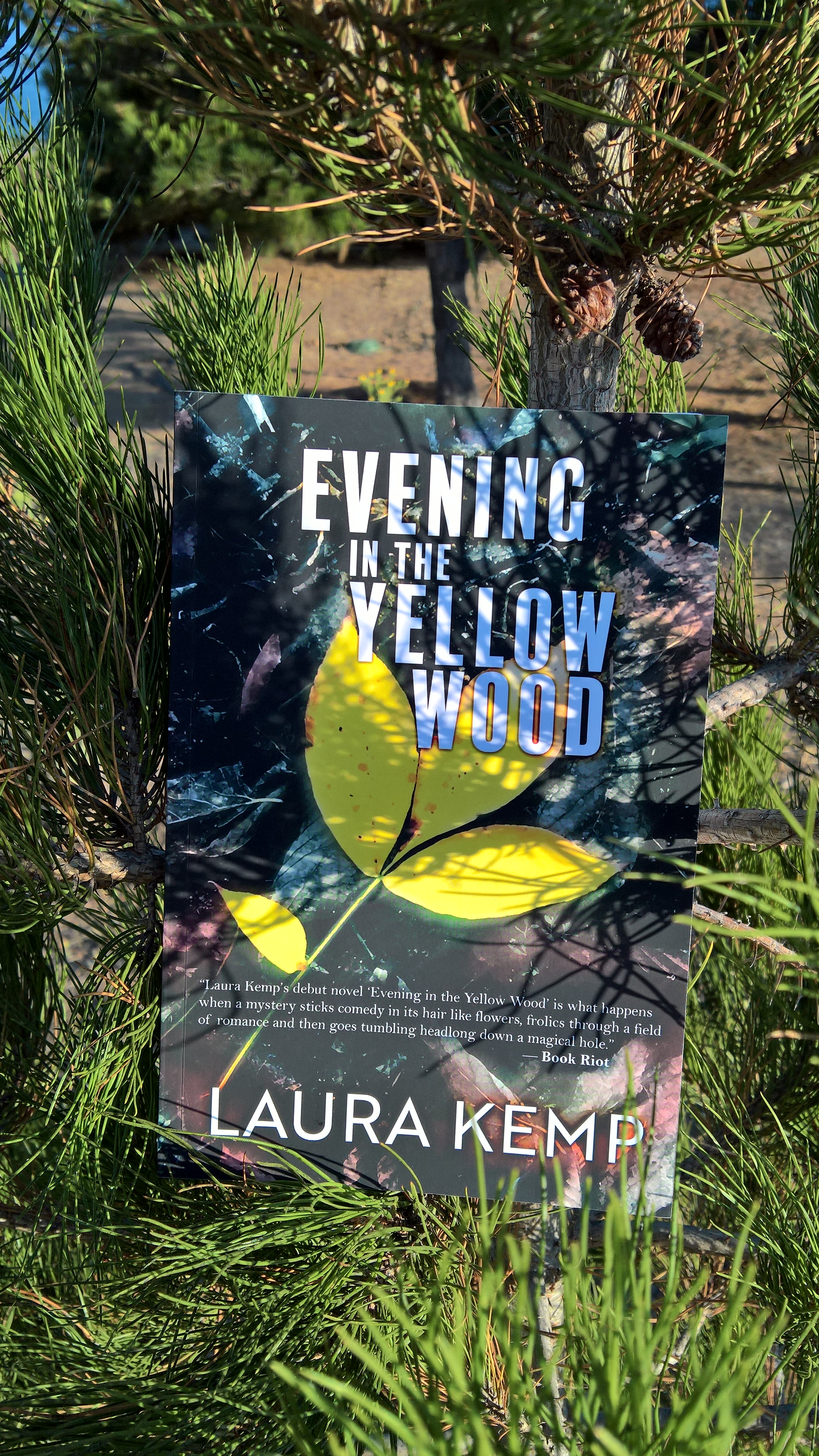 WP_20200720_18_50_16_Pro