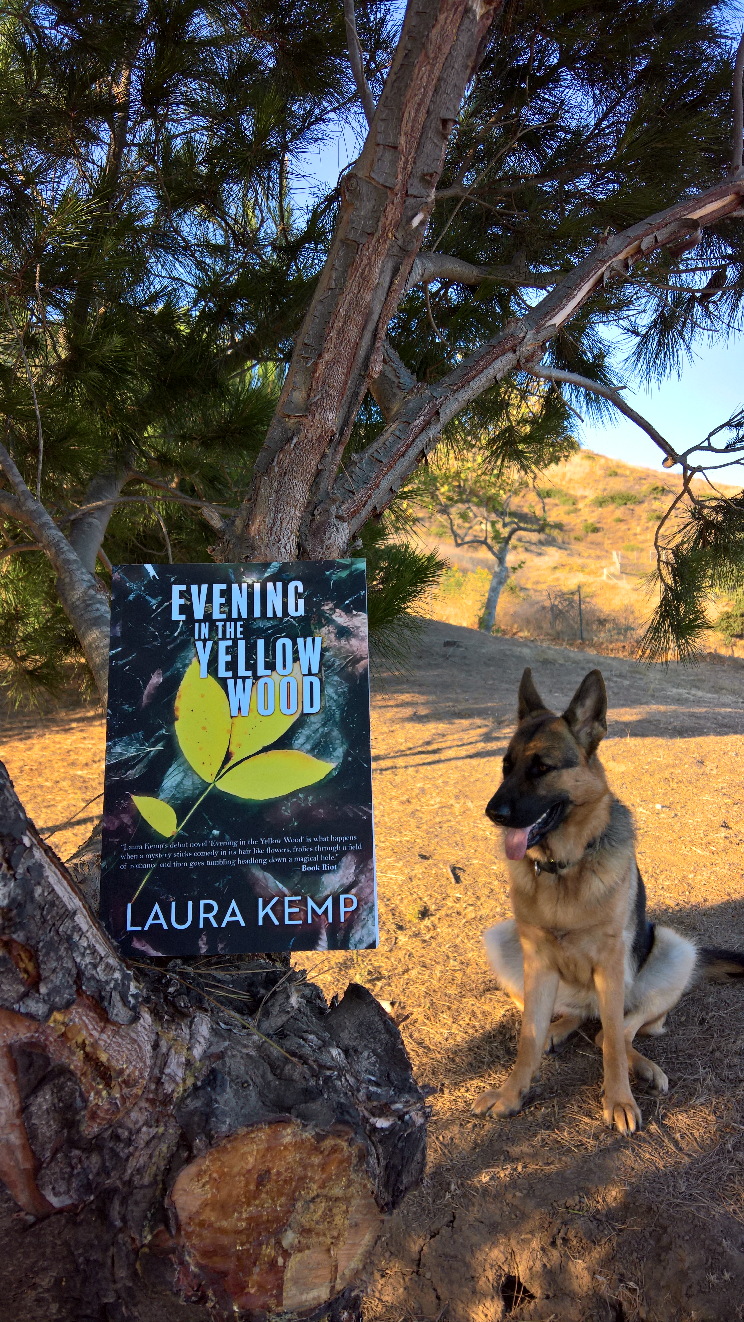 WP_20200720_18_54_24_Pro