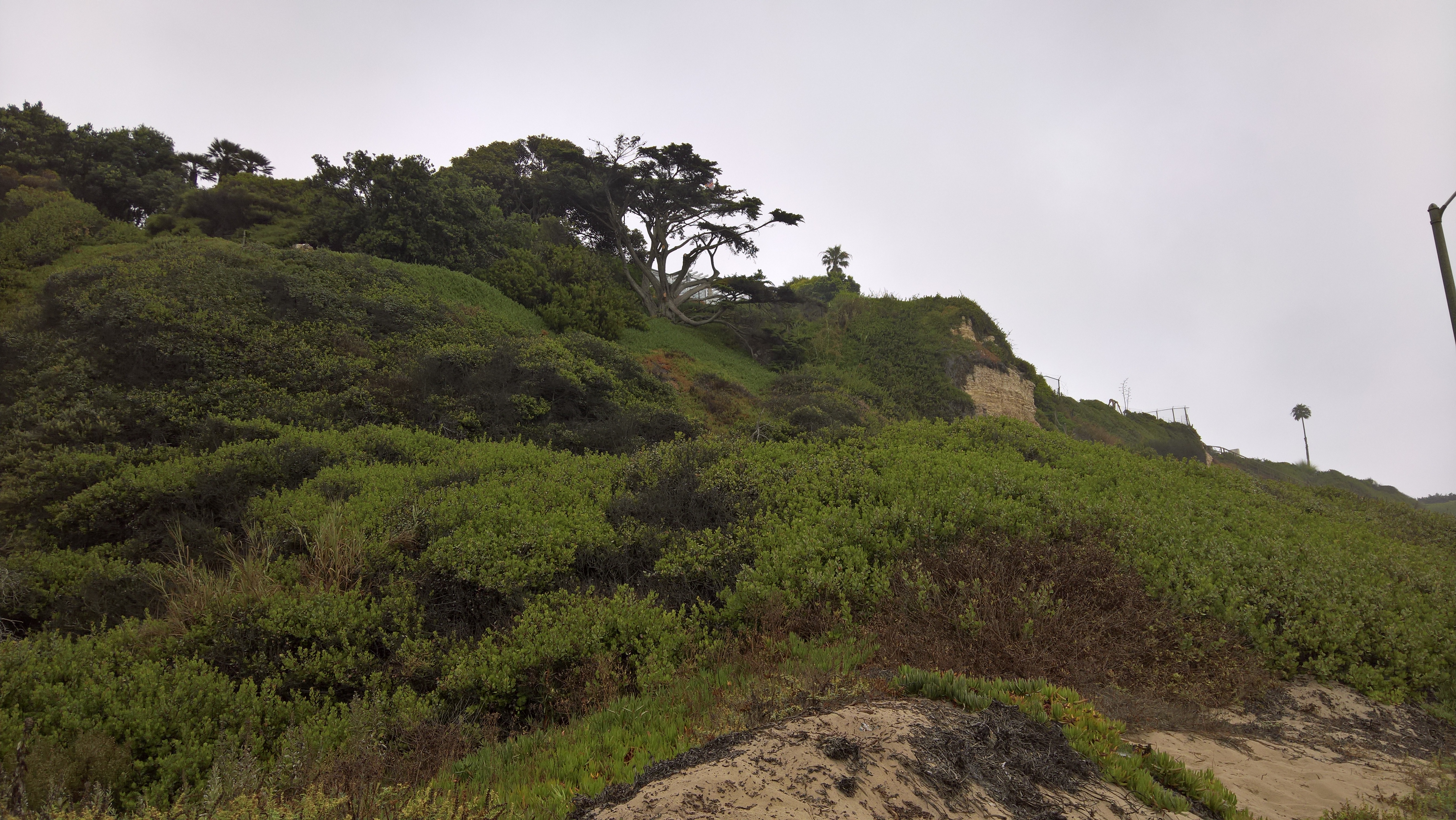 WP_20200722_09_02_50_Pro