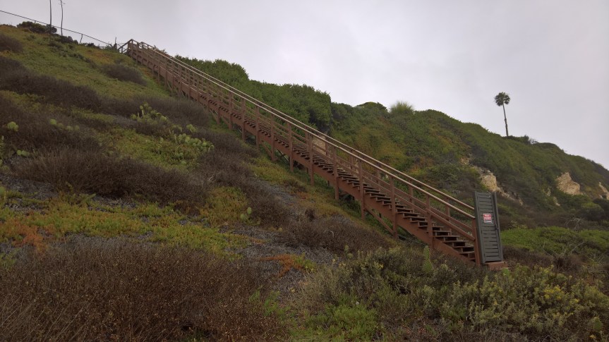 WP_20200722_09_05_39_Pro