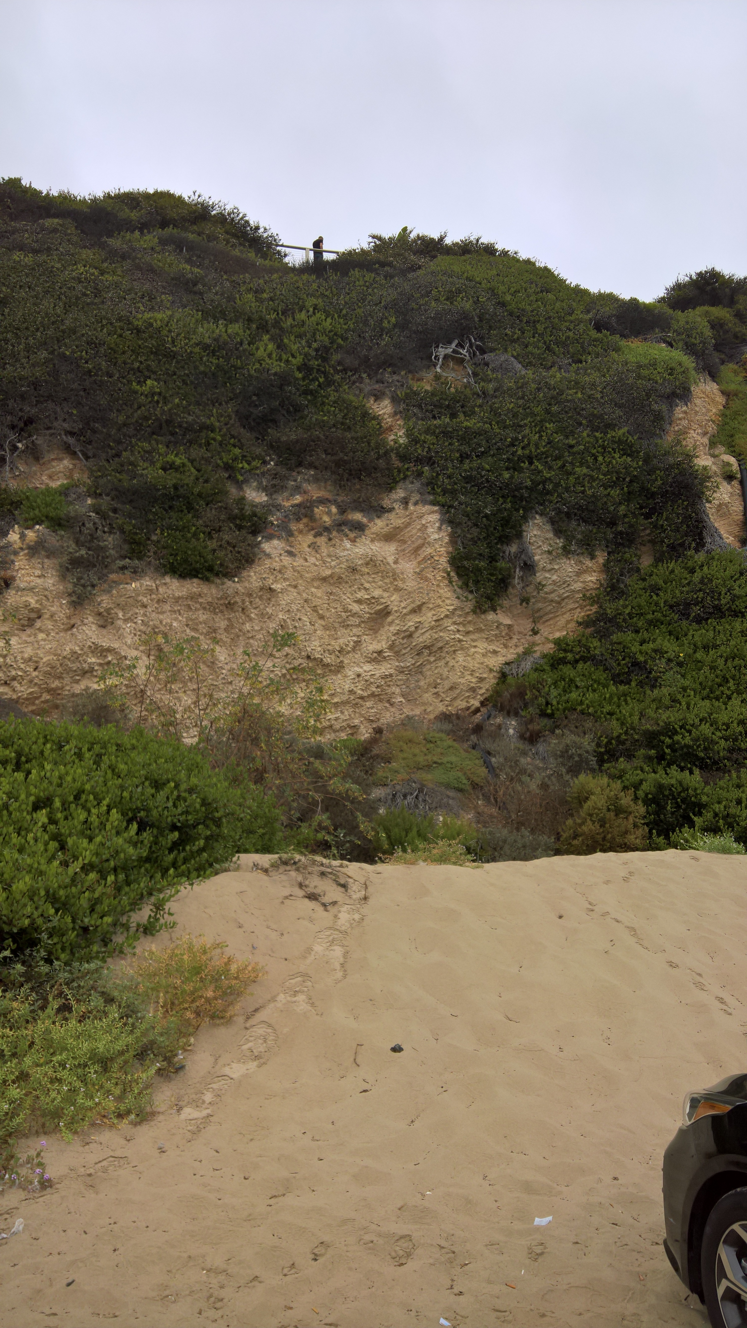 WP_20200722_09_09_30_Pro