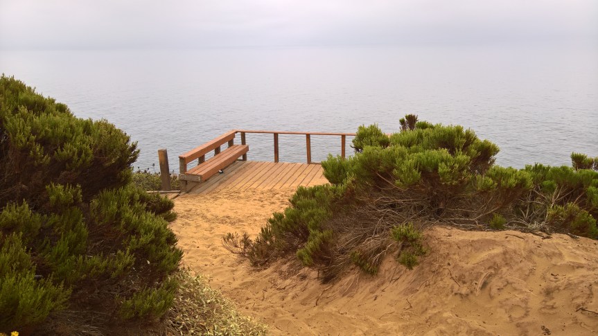 WP_20200722_09_46_40_Pro