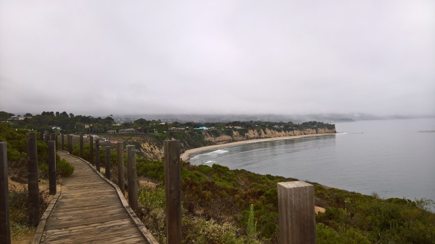 WP_20200722_09_47_58_Pro