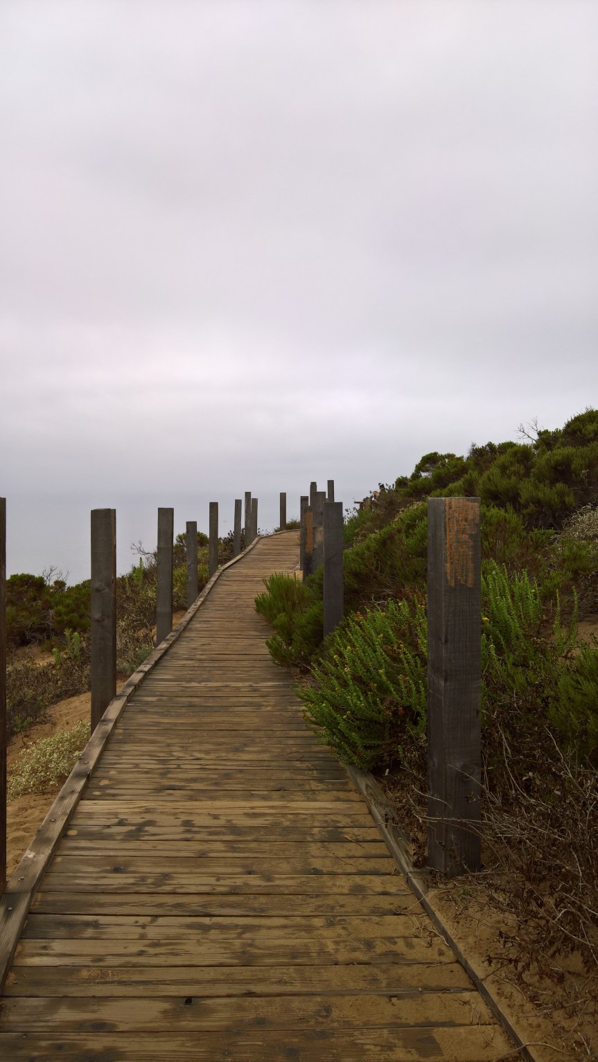 WP_20200722_09_48_33_Pro