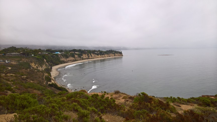 WP_20200722_09_49_51_Pro