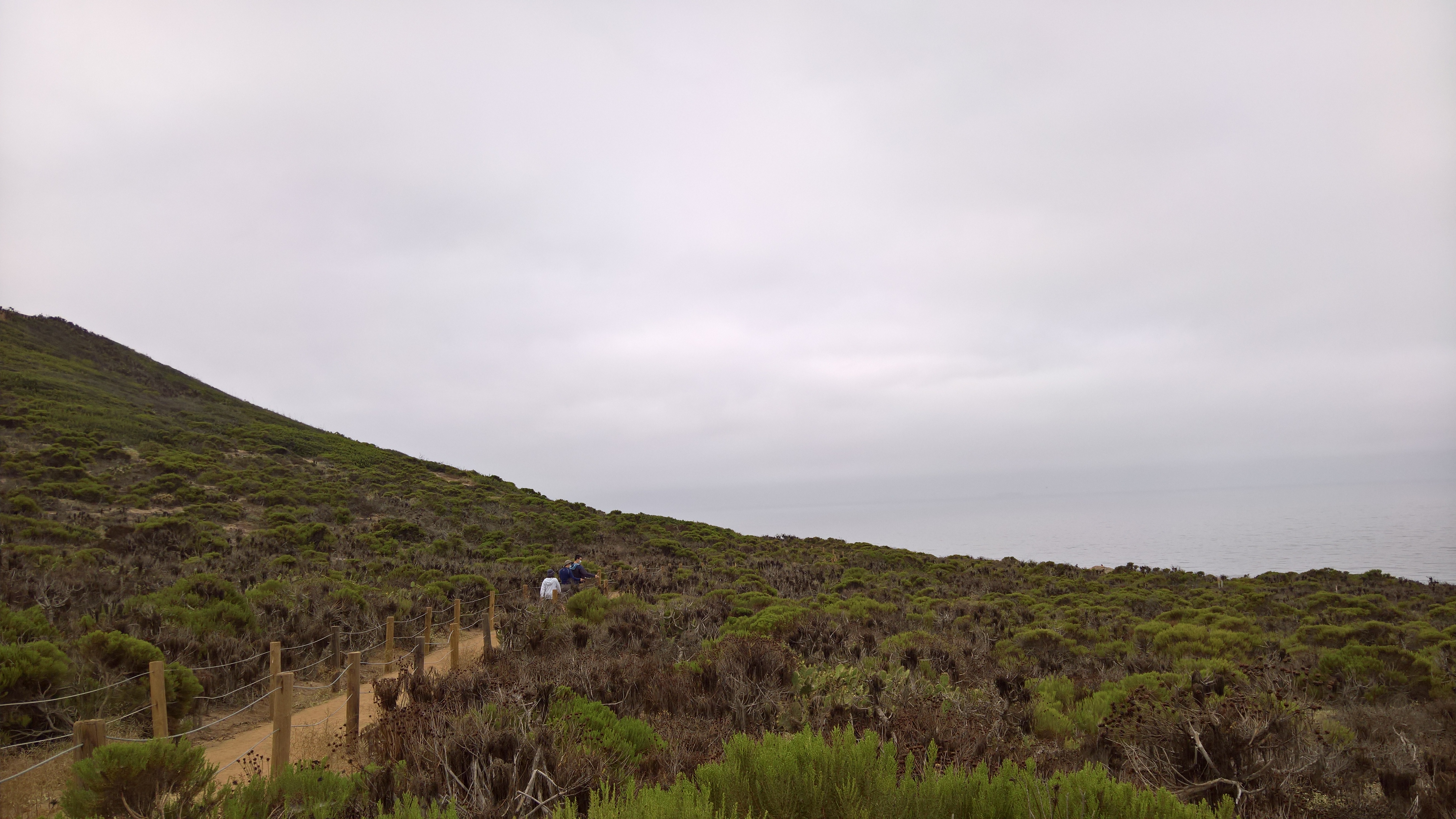 WP_20200722_09_54_10_Pro