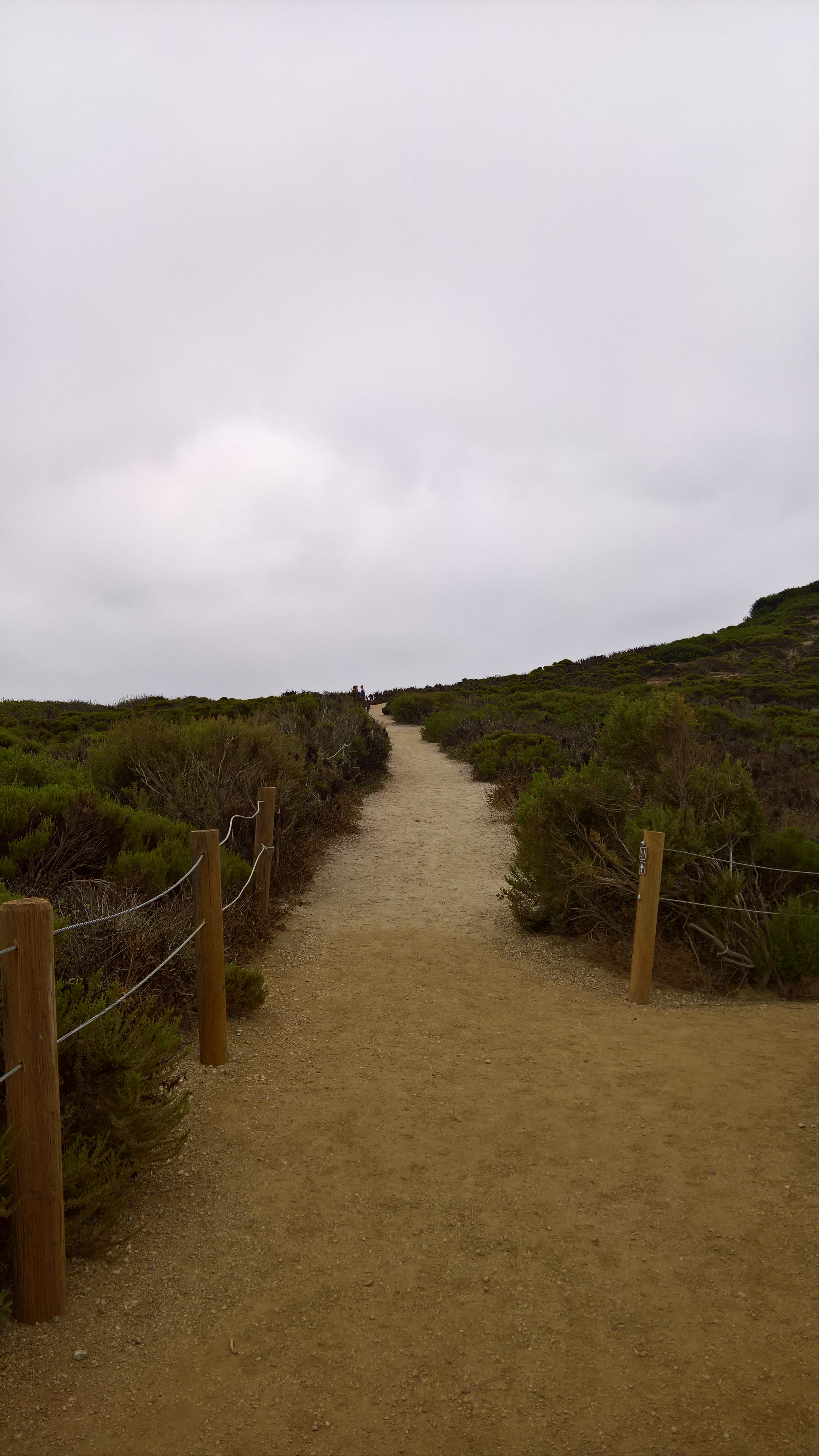 WP_20200722_09_54_17_Pro