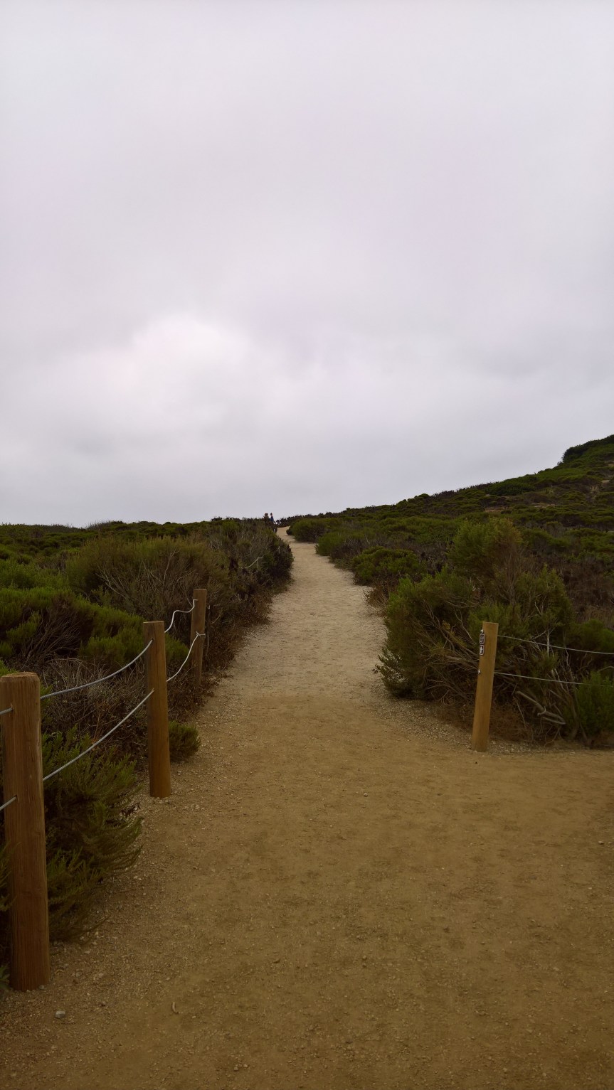 WP_20200722_09_54_17_Pro