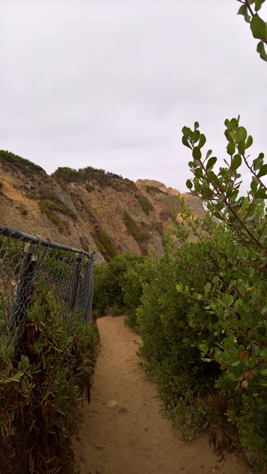 WP_20200722_10_03_55_Pro