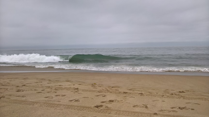 WP_20200722_10_24_21_Pro