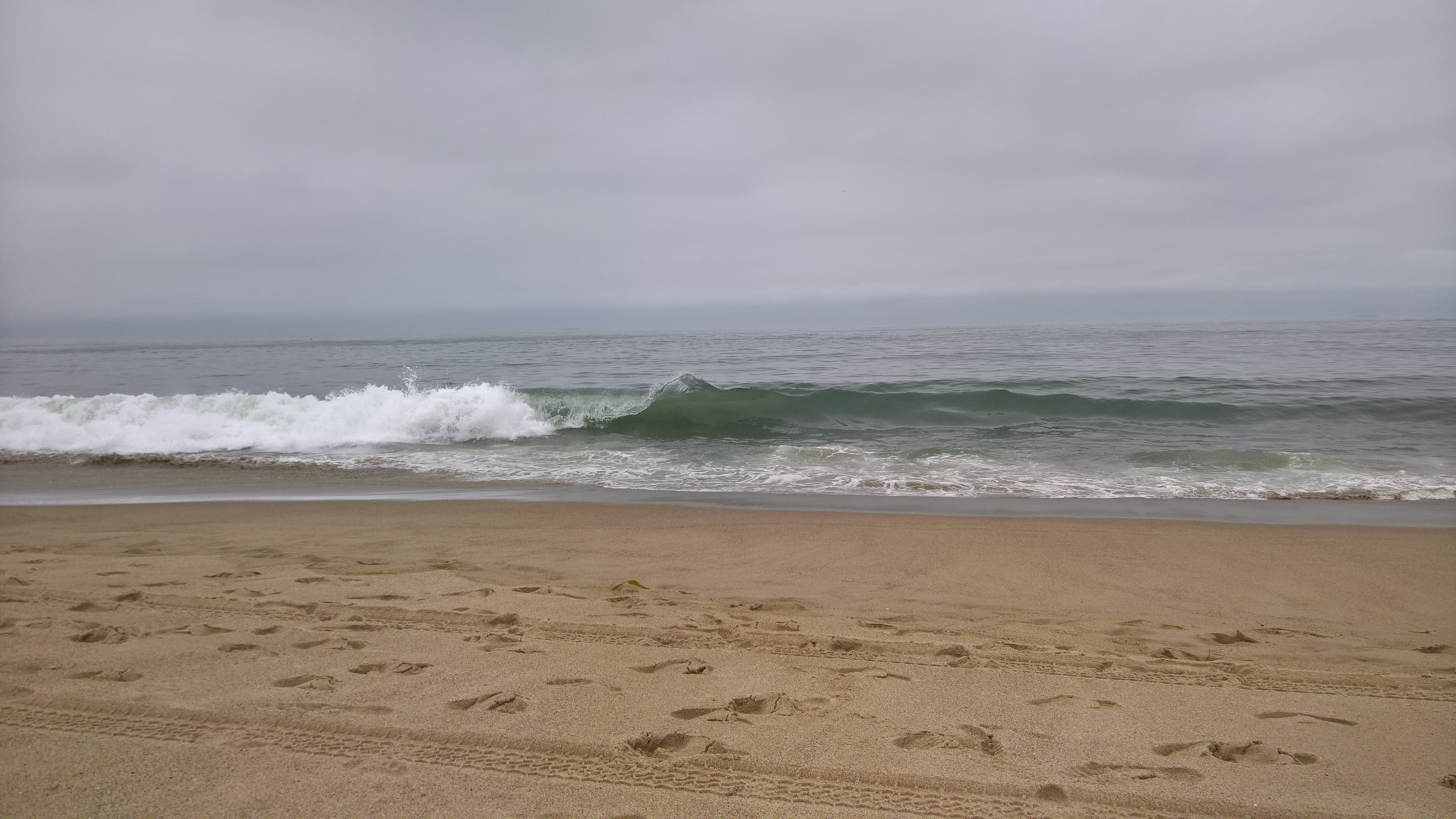 WP_20200722_10_24_22_Pro