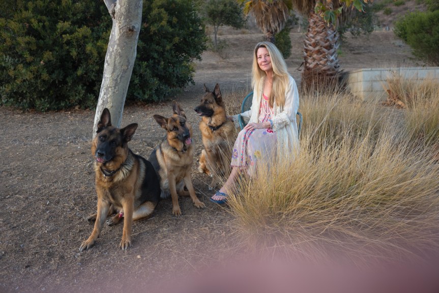 It’s a Dog’s&nbsp;Life