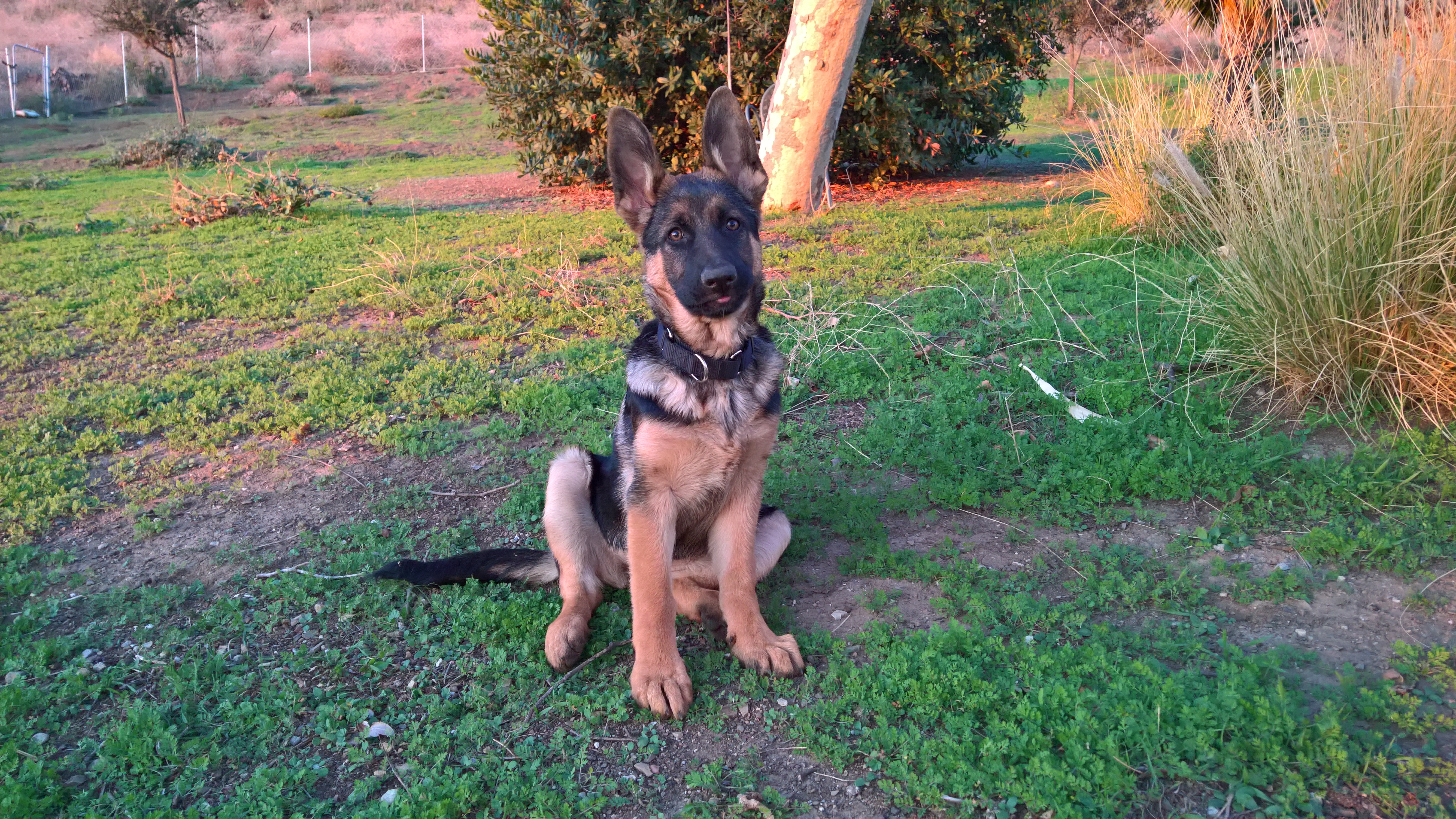 WP_20191219_16_44_27_Pro