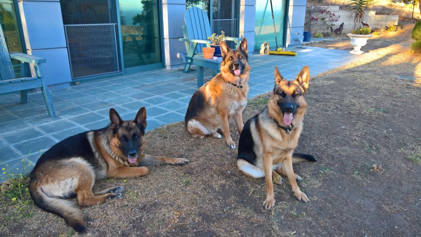 WP_20200730_19_20_20_Pro