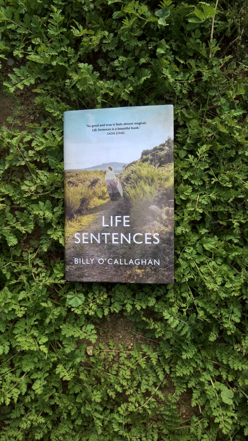 Life Sentences by Billy O’Callaghan