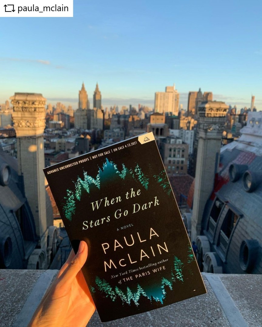 When the Stars Go Dark by Paula&nbsp;McClain